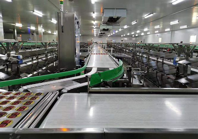 必一运动·Bsports官方app下载×某知名生鲜品牌 | 生鲜输送分拣线