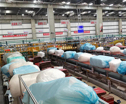 必一运动·Bsports官方app下载×某知名药妆品牌 | 自动发货线